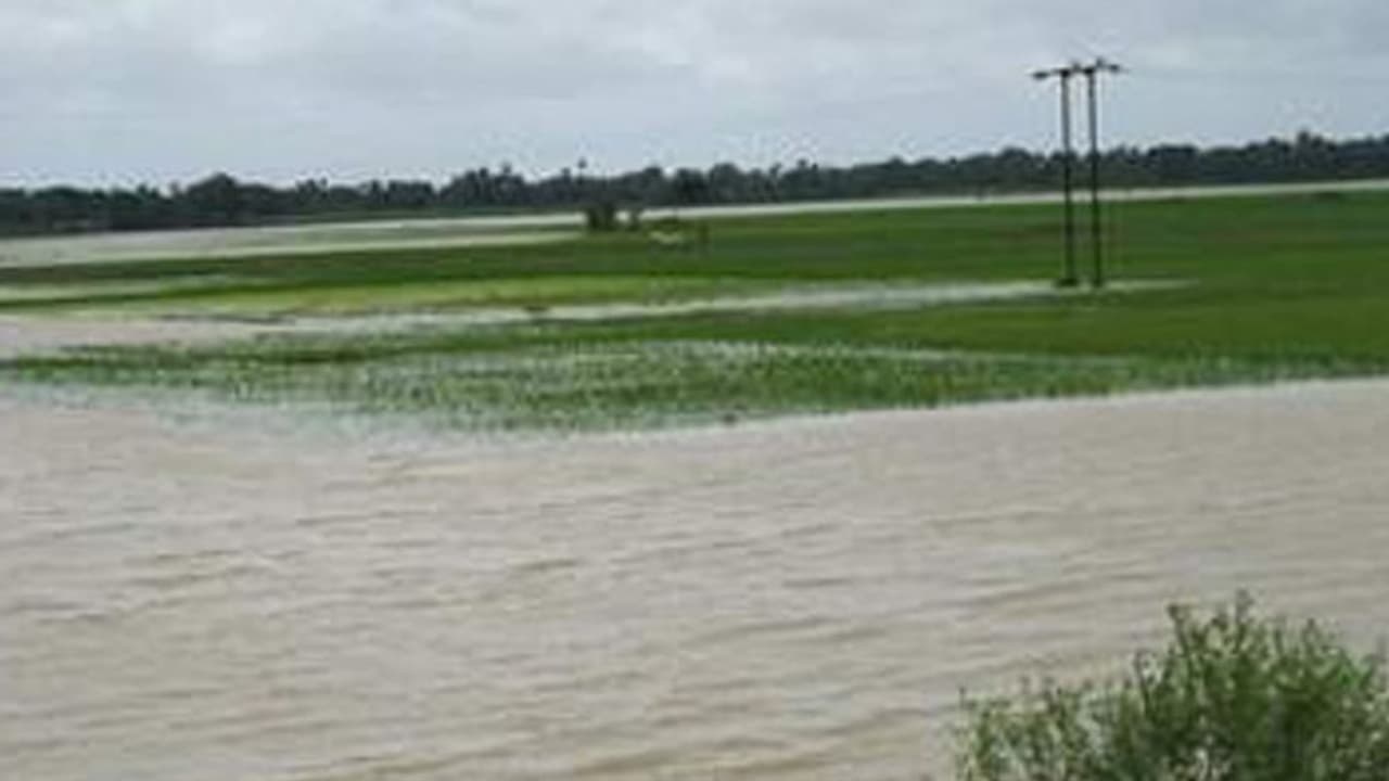 ಅವೈಜ್ಞಾನಿಕ ಕಾಮಗಾರಿ: ಕೃಷಿ ಭೂಮಿ ಜಲಾವೃತ ಅವೈಜ್ಞಾನಿಕ ಕಾಮಗಾರಿ: ಕೃಷಿ ಭೂಮಿ ಜಲಾವೃತ