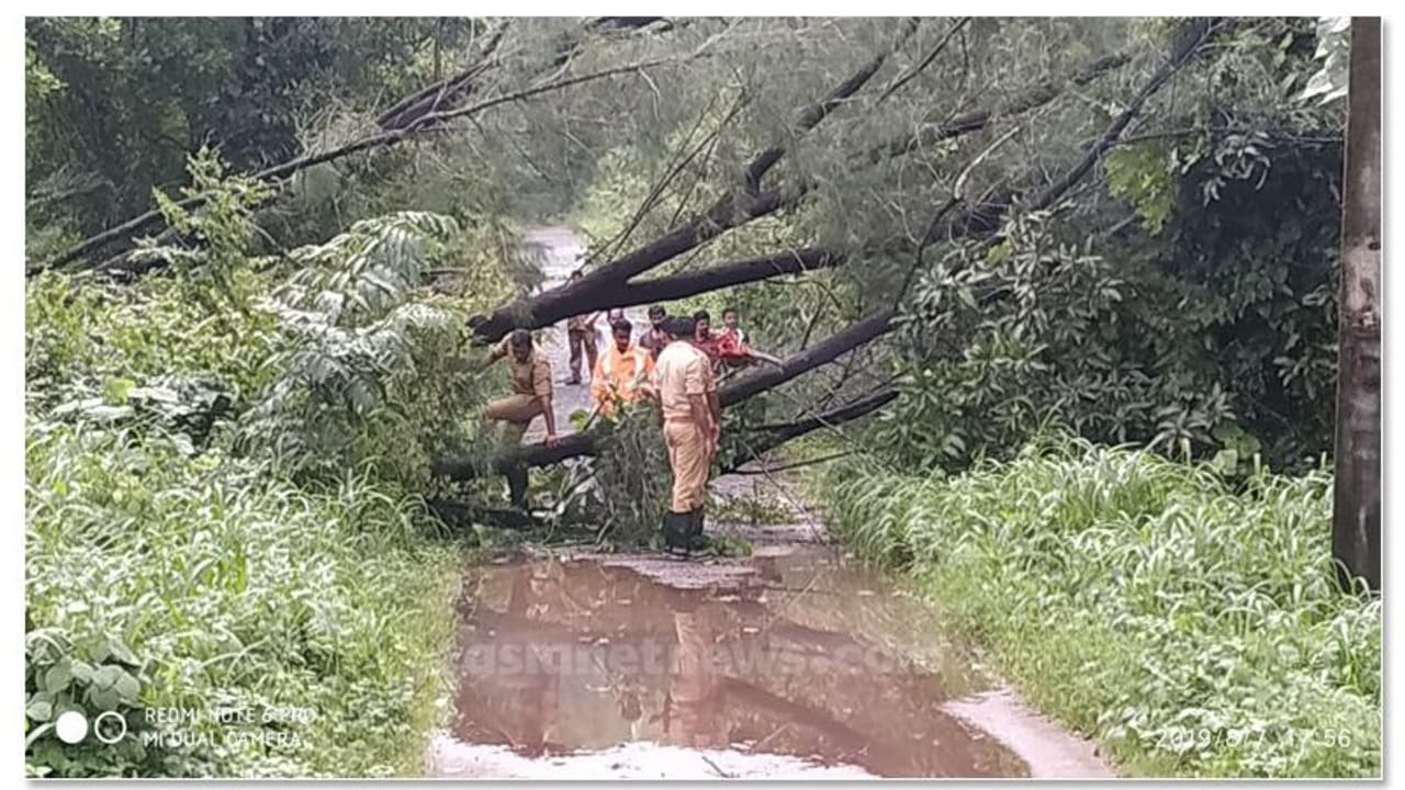 മണ്ണിടിഞ്ഞ് റോഡ് ബ്ലോക്കായി; ഗുരുതരാവസ്ഥയിലുള്ള രോഗിയെ ആശുപത്രിയിത്തിക്കാന് 10 മണിക്കൂര് വൈകി മണ്ണിടിഞ്ഞ് റോഡ് ബ്ലോക്കായി; ഗുരുതരാവസ്ഥയിലുള്ള രോഗിയെ ആശുപത്രിയിത്തിക്കാന് 10 മണിക്കൂര് വൈകി