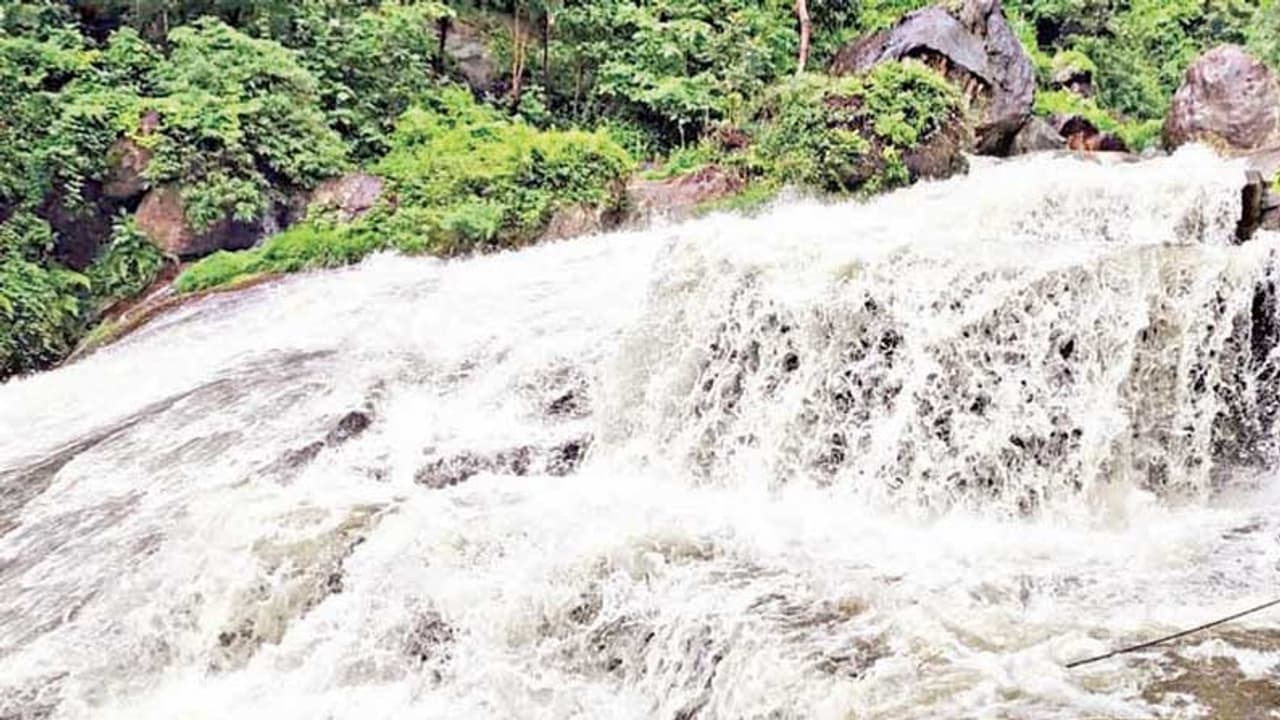 കോഴിക്കോട്ട് കനത്ത മഴ തുടരുന്നു; കുറ്റ്യാടിയിൽ രണ്ട് പേർ ഒഴുക്കിൽപ്പെട്ടു കോഴിക്കോട്ട് കനത്ത മഴ തുടരുന്നു; കുറ്റ്യാടിയിൽ രണ്ട് പേർ ഒഴുക്കിൽപ്പെട്ടു