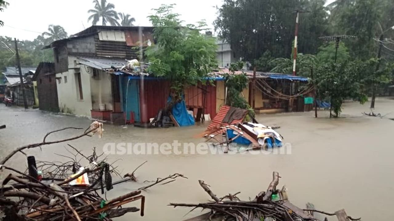 മഴക്കാലത്ത് വരാം രോഗങ്ങള്; പ്രാണികളെ തുരത്താന് ചില വഴികള്... മഴക്കാലത്ത് വരാം രോഗങ്ങള്; പ്രാണികളെ തുരത്താന് ചില വഴികള്...