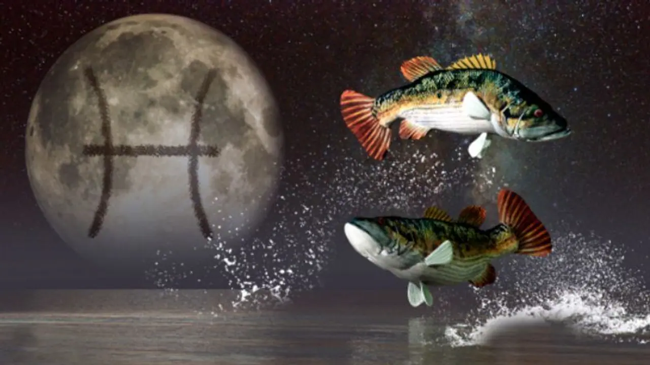 জুন মাস কেমন প্রভাব ফেলবে মীন রাশির উপর, দেখে নিন