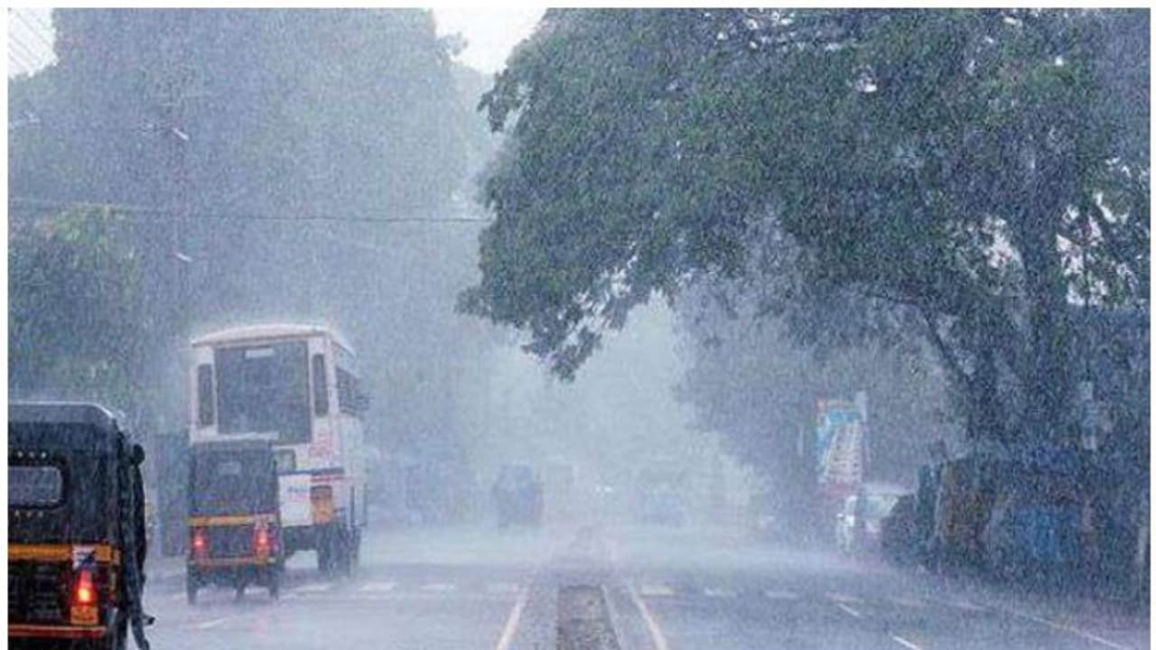 Gujarat rains: 19 killed including 16 in building, wall collapses