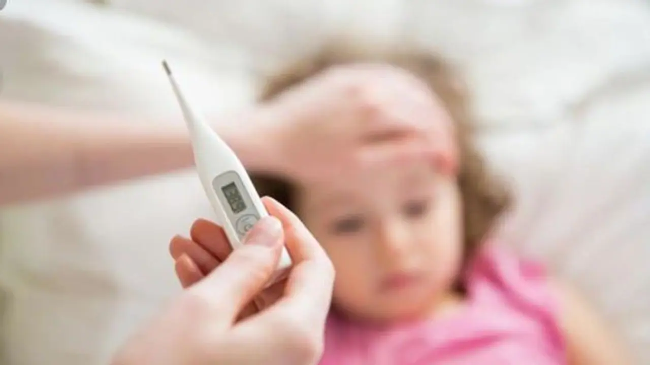 ఒక్క రోజు జ్వరం వచ్చినా డెంగీ యేనా..? ఒక్క రోజు జ్వరం వచ్చినా డెంగీ యేనా..?