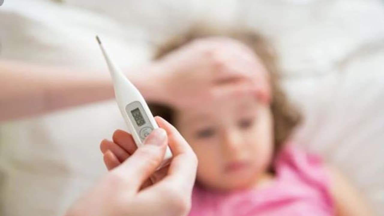 Congo fever alert: Death toll increases in Gujarat, Rajasthan; India on high alert