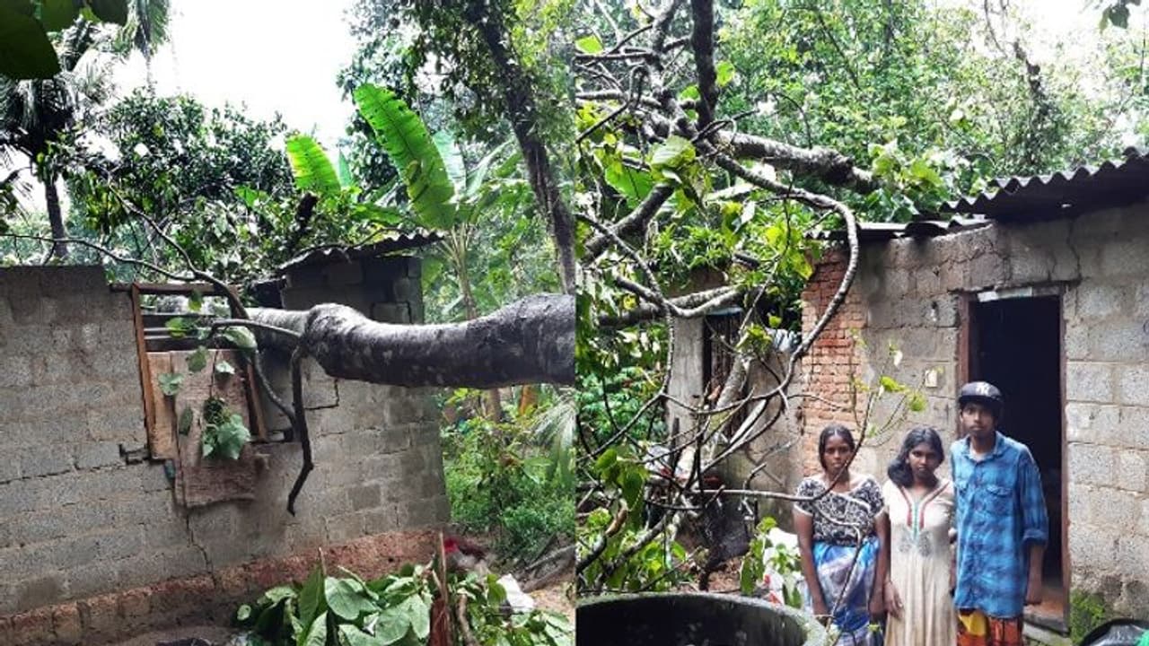 കലിതുള്ളി മഴ; ചെങ്ങന്നൂര് പ്രളയഭീതിയില്, കാറ്റിലും മഴയിലും വീടുകള് തകര്ന്നു കലിതുള്ളി മഴ; ചെങ്ങന്നൂര് പ്രളയഭീതിയില്, കാറ്റിലും മഴയിലും വീടുകള് തകര്ന്നു