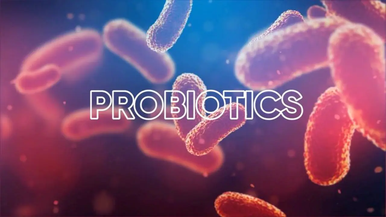 সুস্থ থাকতে পাতে রাখুন প্রোবায়োটিক সমৃদ্ধ খাবার, দেখে নিন