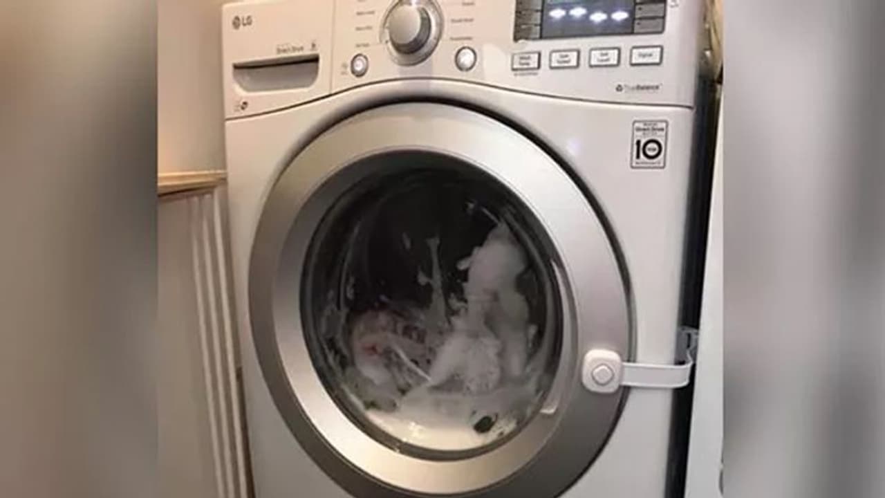 वॉशिंग मशीन के दरवाजे में दिखा बच्चे का हाथ, खोलते ही चीख उठी मां वॉशिंग मशीन के दरवाजे में दिखा बच्चे का हाथ, खोलते ही चीख उठी मां