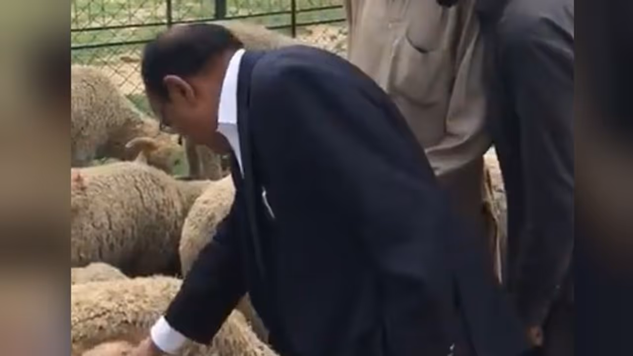 जम्मू कश्मीर: एनएसए डोभाल ने जानी भेड़ों की कीमत, इस आतंक प्रभावित इलाके का दौरा करने पहुंचे थे जम्मू कश्मीर: एनएसए डोभाल ने जानी भेड़ों की कीमत, इस आतंक प्रभावित इलाके का दौरा करने पहुंचे थे