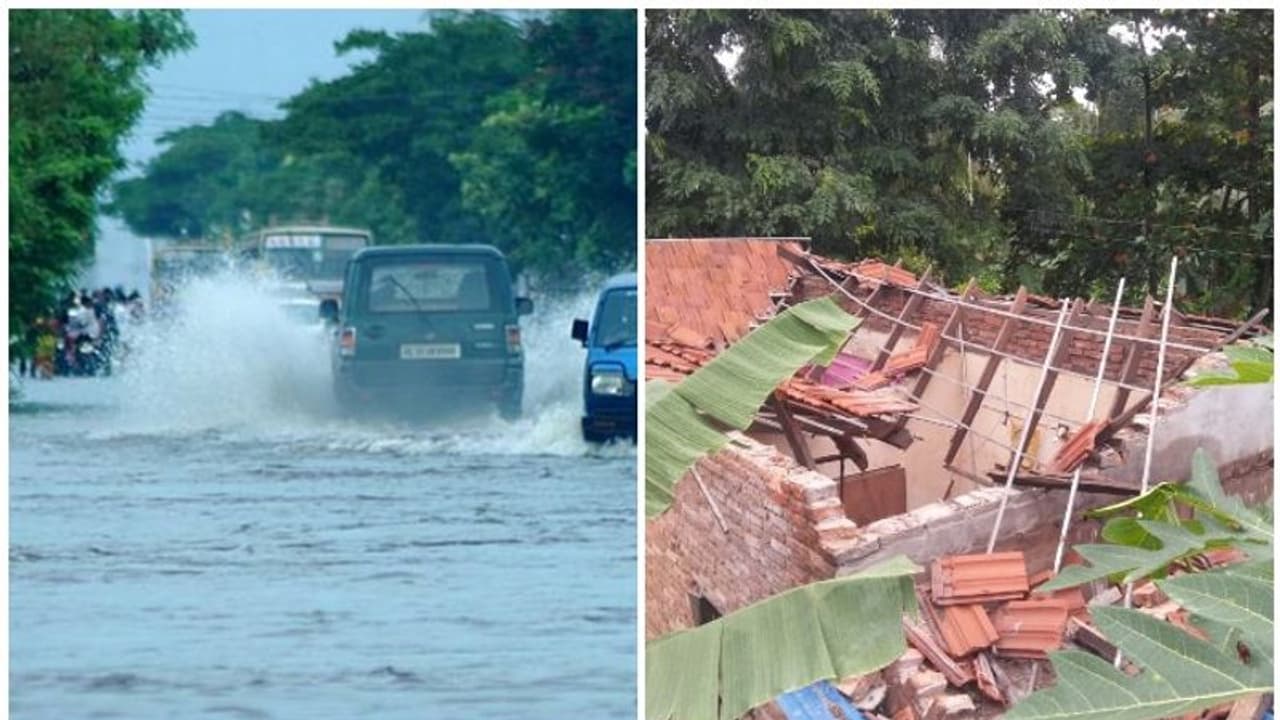 കുട്ടനാട്ടില് ജലനിരപ്പില് മാറ്റമില്ല; മരങ്ങള് വീണ് വീടുകള് തകര്ന്നു, വ്യാപക നാശനഷ്ടം കുട്ടനാട്ടില് ജലനിരപ്പില് മാറ്റമില്ല; മരങ്ങള് വീണ് വീടുകള് തകര്ന്നു, വ്യാപക നാശനഷ്ടം