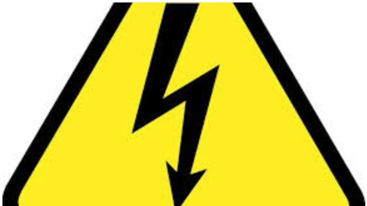 റോഡിലെ വെള്ളക്കെട്ടില്‍ നായ്ക്കള്‍ ചത്തത് ശ്രദ്ധയില്‍ പെട്ടു; ഒഴിവായത് വന്‍ അപകടം