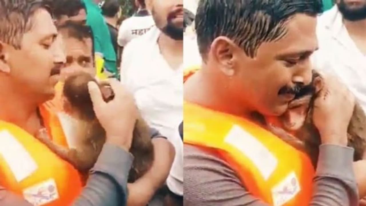 നനഞ്ഞ് വിറച്ച് കുട്ടിക്കുരങ്ങന്‍; നെഞ്ചോട് ചേര്‍ത്ത് വിതുമ്പി രക്ഷാപ്രവര്‍ത്തകന്‍ വീഡിയോ