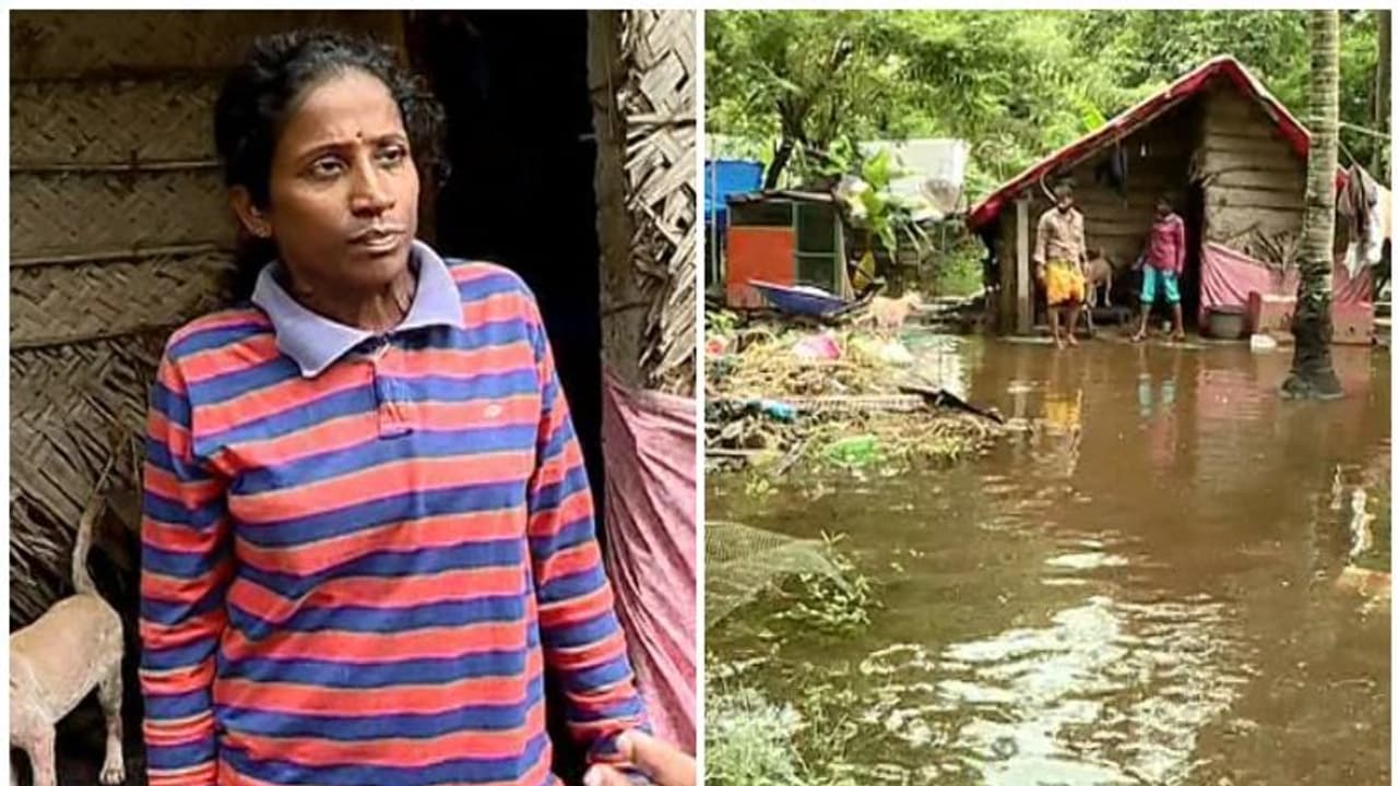 'ക്യാമ്പില്‍ പോയാല്‍ നായ്‍ക്കള്‍ക്ക് ആര് ഭക്ഷണം നല്‍കും'; സുനിത കൂട്ടിരിക്കുന്നത് നാൽപ്പതോളം നായ്‍ക്കള്‍ക്ക്