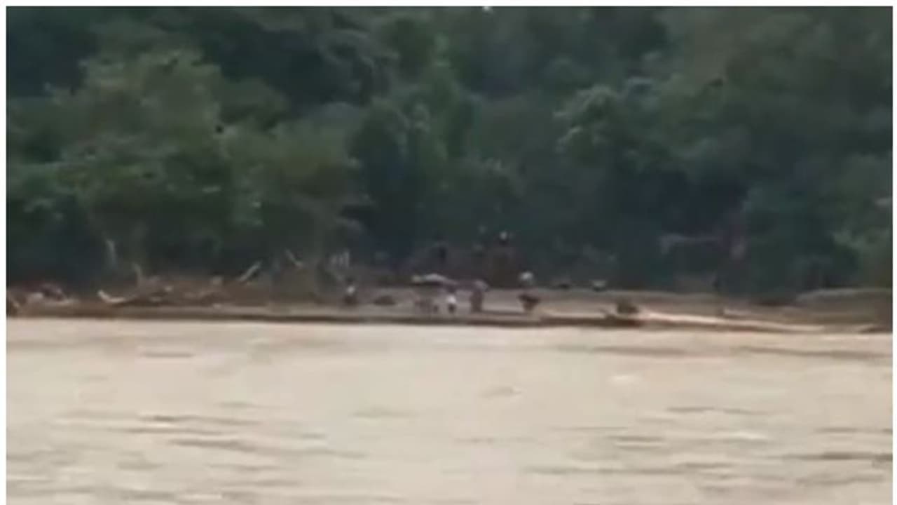 പാലം തകർന്നു, തോട് പുഴയായി; പുഞ്ചക്കൊല്ലി വനത്തിൽ 250 ആദിവാസികൾ ഒറ്റപ്പെട്ടു