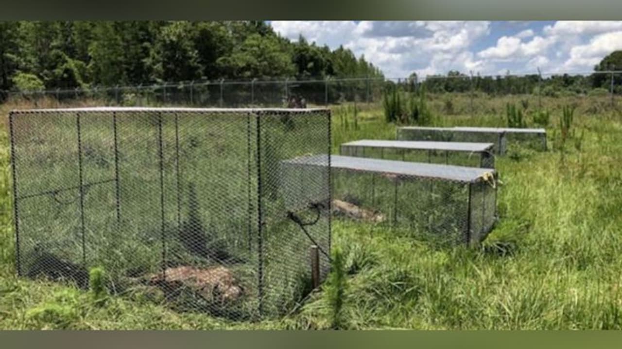 यहां होती है लाशों की खेती यहां होती है लाशों की खेती