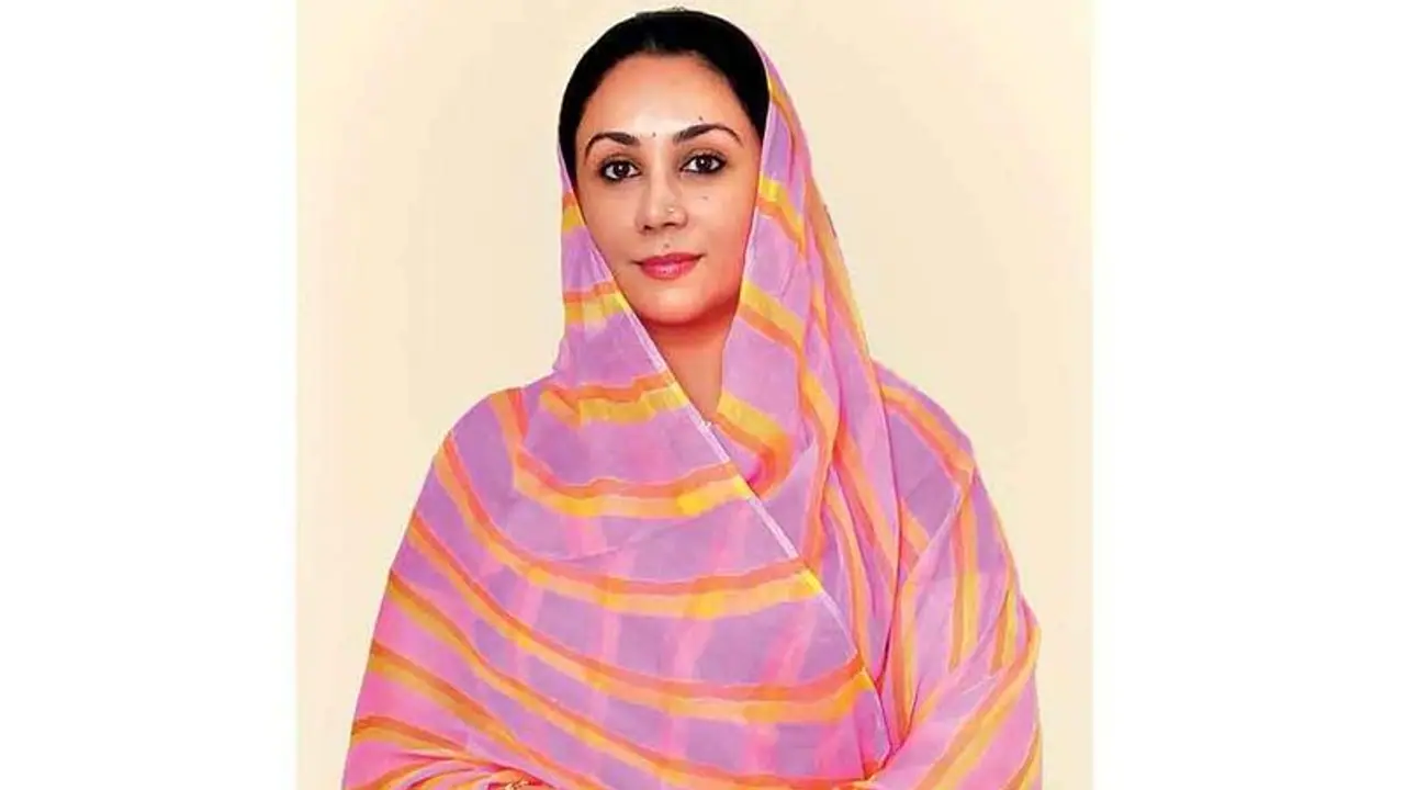 Ayodhya: First Jaipur, now Mewar royals claim to be descendants of Lord Rama