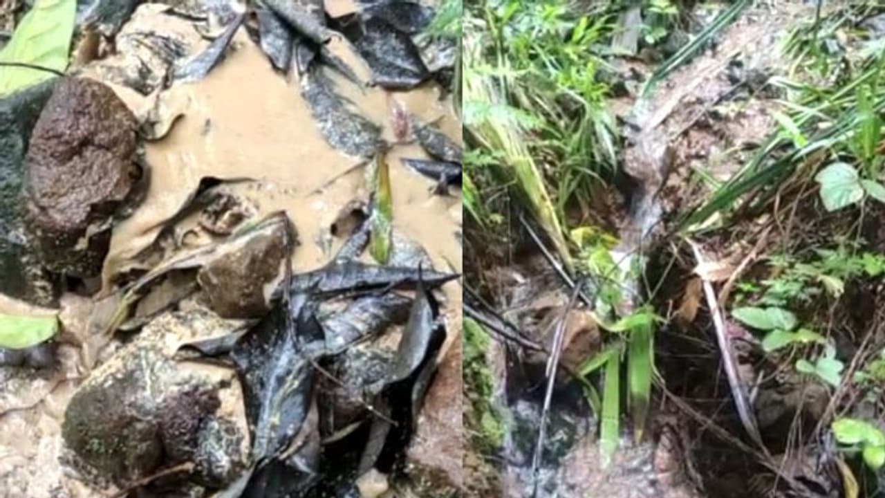 'സോയിൽ പൈപ്പിംഗ്' പ്രതിഭാസം; കാരശ്ശേരിയിൽ നിന്ന് കുടുംബങ്ങളെ മാറ്റിപ്പാർപ്പിക്കുന്നു 'സോയിൽ പൈപ്പിംഗ്' പ്രതിഭാസം; കാരശ്ശേരിയിൽ നിന്ന് കുടുംബങ്ങളെ മാറ്റിപ്പാർപ്പിക്കുന്നു