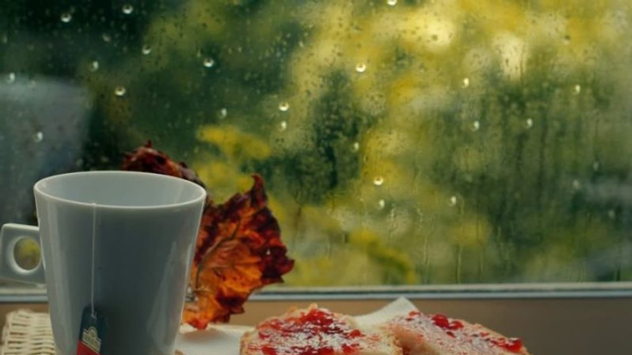 മഴക്കാലമല്ലേ, ഭക്ഷണത്തില് ശ്രദ്ധിക്കേണ്ട അഞ്ച് കാര്യങ്ങൾ... മഴക്കാലമല്ലേ, ഭക്ഷണത്തില് ശ്രദ്ധിക്കേണ്ട അഞ്ച് കാര്യങ്ങൾ...