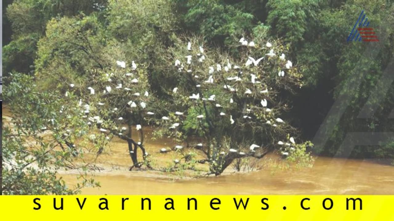 ಸೂತಕದ ಮನೆಯಾದ ಮಂಡಗದ್ದೆ ‘ಹೆರಿಗೆ ಮನೆ’!