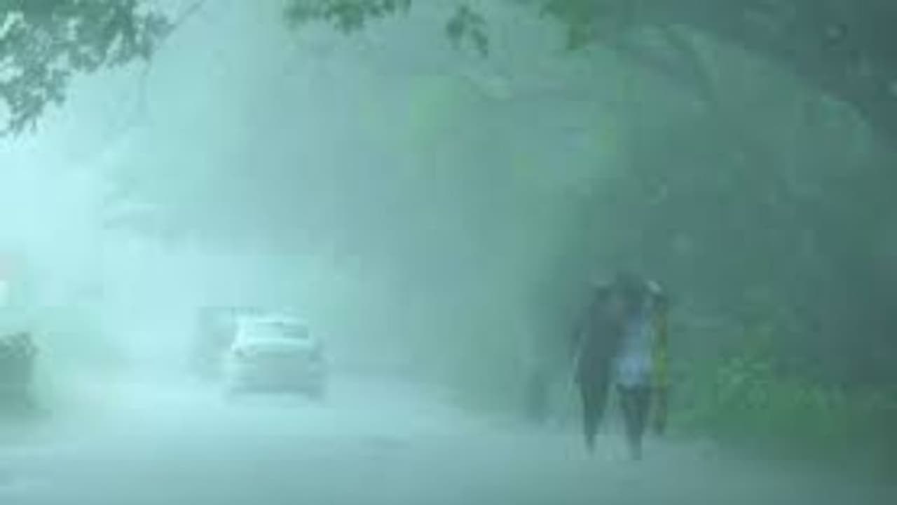 Delhi air quality ‘good’ thanks to increased rainfall