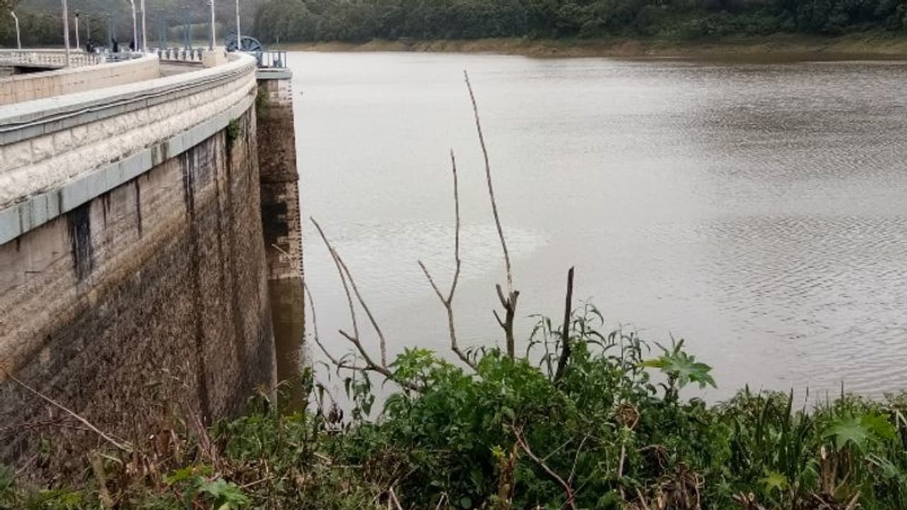 സംസ്ഥാനത്ത് തുടര്ച്ചയായി മഴപെയ്യുമ്പോഴും വെള്ളമില്ലാതെ മൂന്നാറിലെ ജലാശയങ്ങള് സംസ്ഥാനത്ത് തുടര്ച്ചയായി മഴപെയ്യുമ്പോഴും വെള്ളമില്ലാതെ മൂന്നാറിലെ ജലാശയങ്ങള്