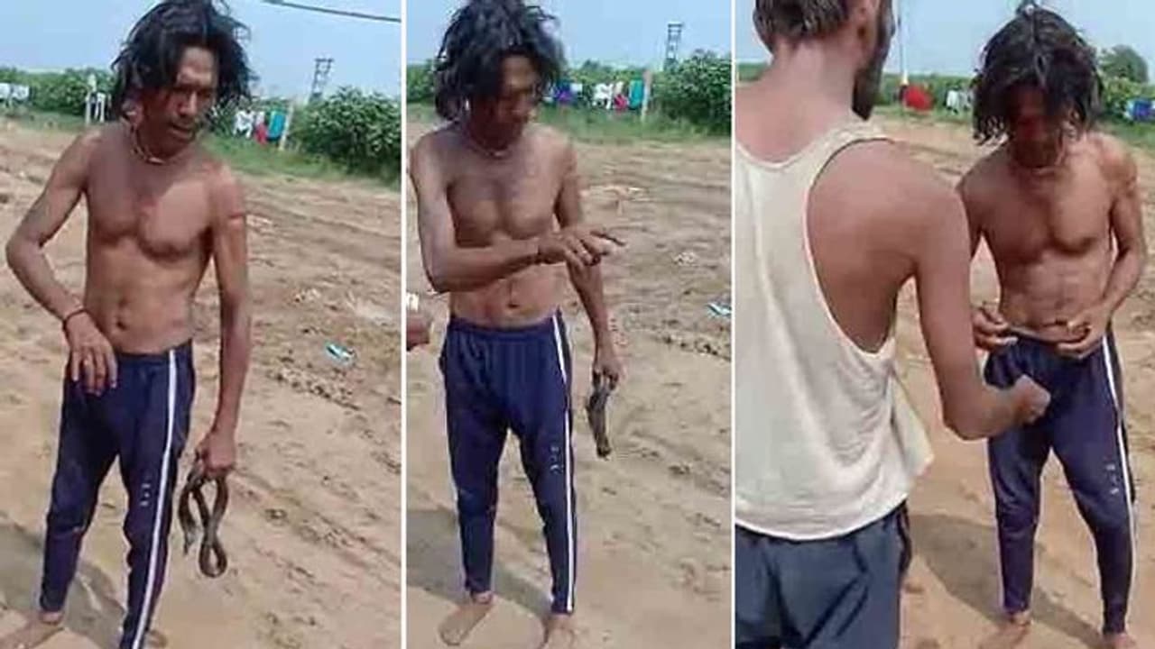 गाजर मूली की तरह कोबरा का फन चबाकर खाते हुए घूमते मिला यह शख्स गाजर मूली की तरह कोबरा का फन चबाकर खाते हुए घूमते मिला यह शख्स