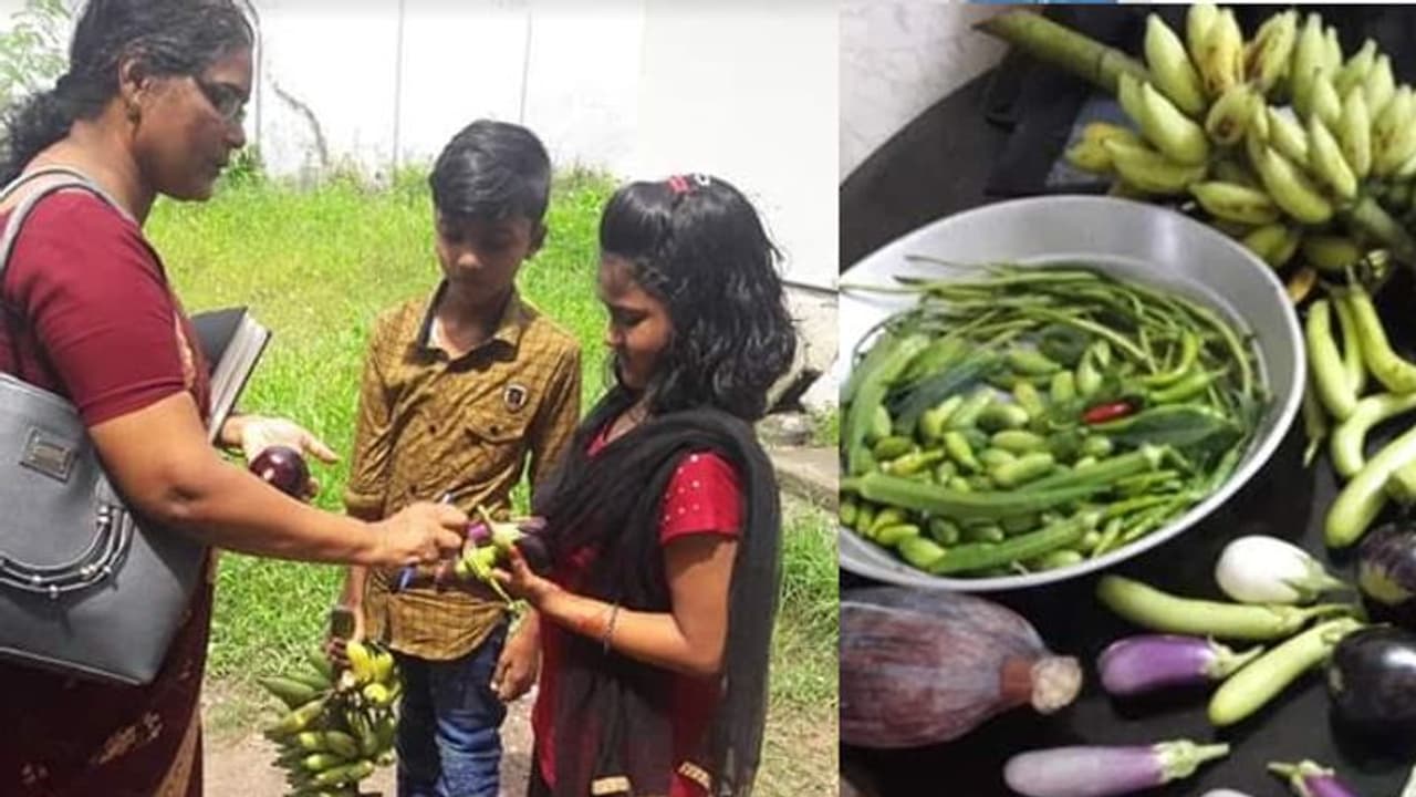 'വിളവെല്ലാം ദുരിതാശ്വാസത്തിന്'; ഷിഫ ഫാത്തിമയുടെ കുഞ്ഞ് മനസിലെ വലിയ സ്നേഹം 'വിളവെല്ലാം ദുരിതാശ്വാസത്തിന്'; ഷിഫ ഫാത്തിമയുടെ കുഞ്ഞ് മനസിലെ വലിയ സ്നേഹം