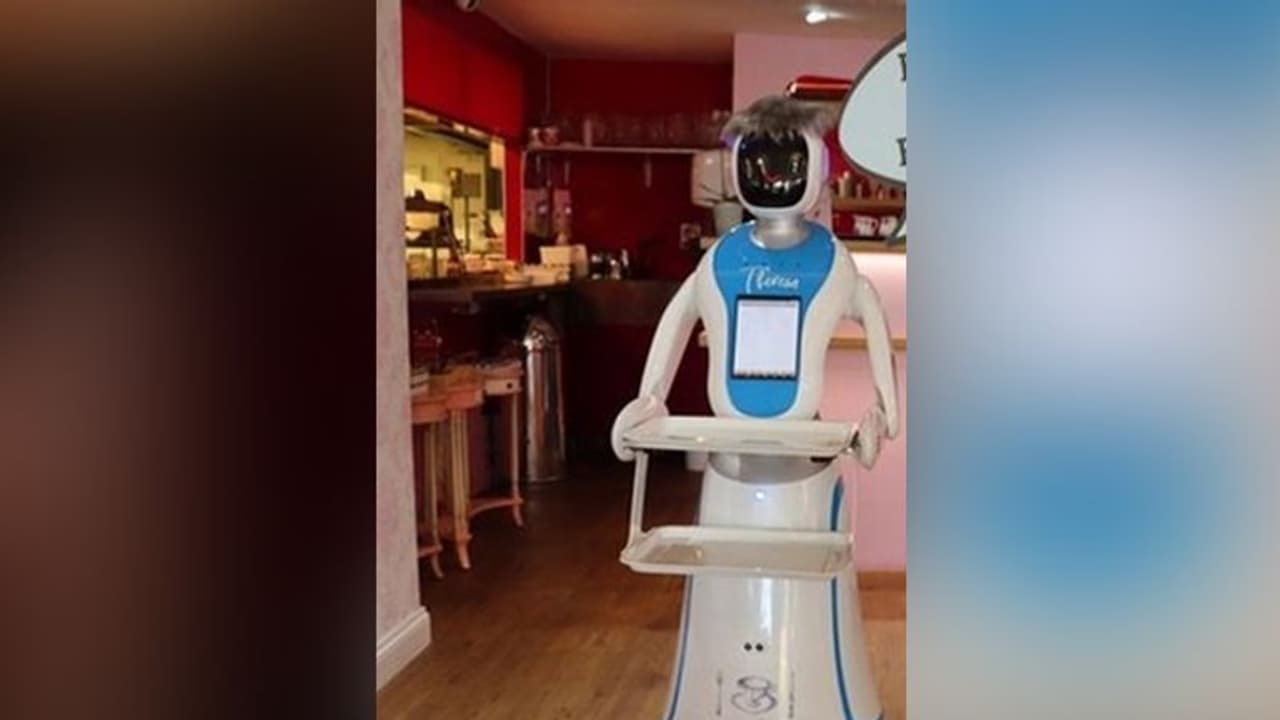 यहां खाना परोसेगी ये खास वेट्रेस, कस्टमर्स से बात कर बहलाएगी मन यहां खाना परोसेगी ये खास वेट्रेस, कस्टमर्स से बात कर बहलाएगी मन