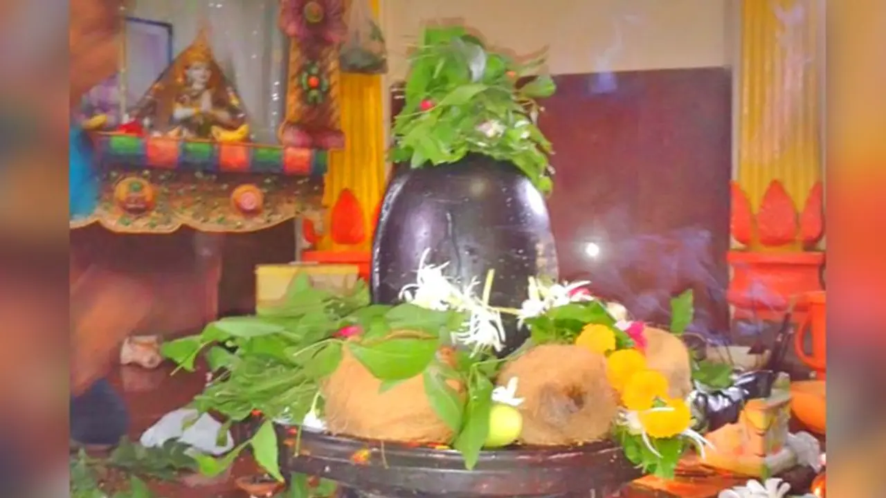 বাড়িতে শিবলিঙ্গ রয়েছে, তবে অবশ্যই পালন করুন এই নিয়মগুলি বাড়িতে শিবলিঙ্গ রয়েছে, তবে অবশ্যই পালন করুন এই নিয়মগুলি