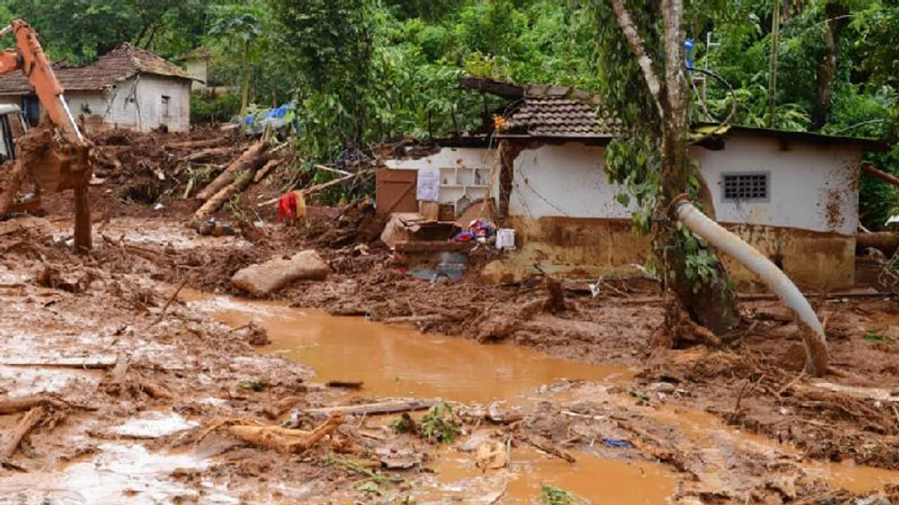 ವಯನಾಡು ಭೂಕುಸಿತ: ಯದ್ವಾತದ್ವಾ ಕಿರುಚಾಡಿ ಹಲವು ಕುಟುಂಬಗಳನ್ನು ಉಳಿಸಿದ ಗಿಳಿ..!