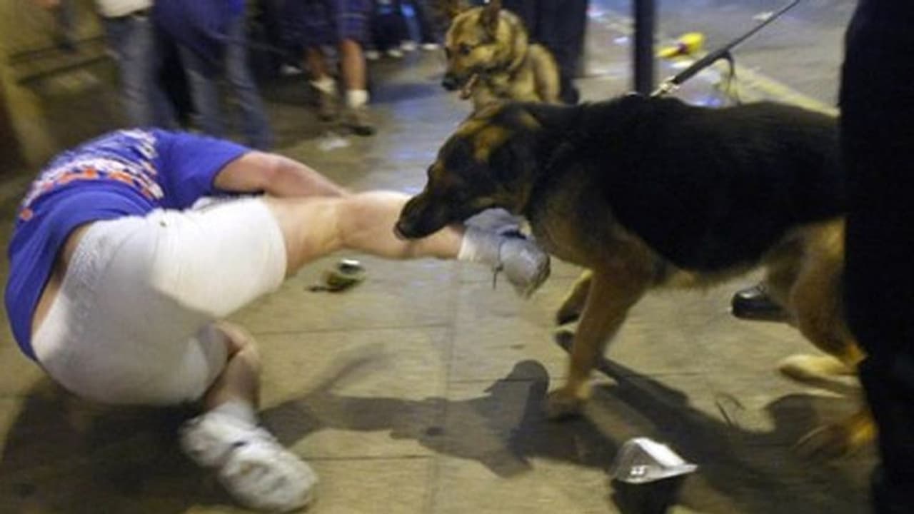 ನಾಯಿ ಕಚ್ಚಿದರೆ ಪರಿಹಾರ ಕೊಡ್ತಾರೆ ಗೊತ್ತಾ..?! ನಾಯಿ ಕಚ್ಚಿದರೆ ಪರಿಹಾರ ಕೊಡ್ತಾರೆ ಗೊತ್ತಾ..?!