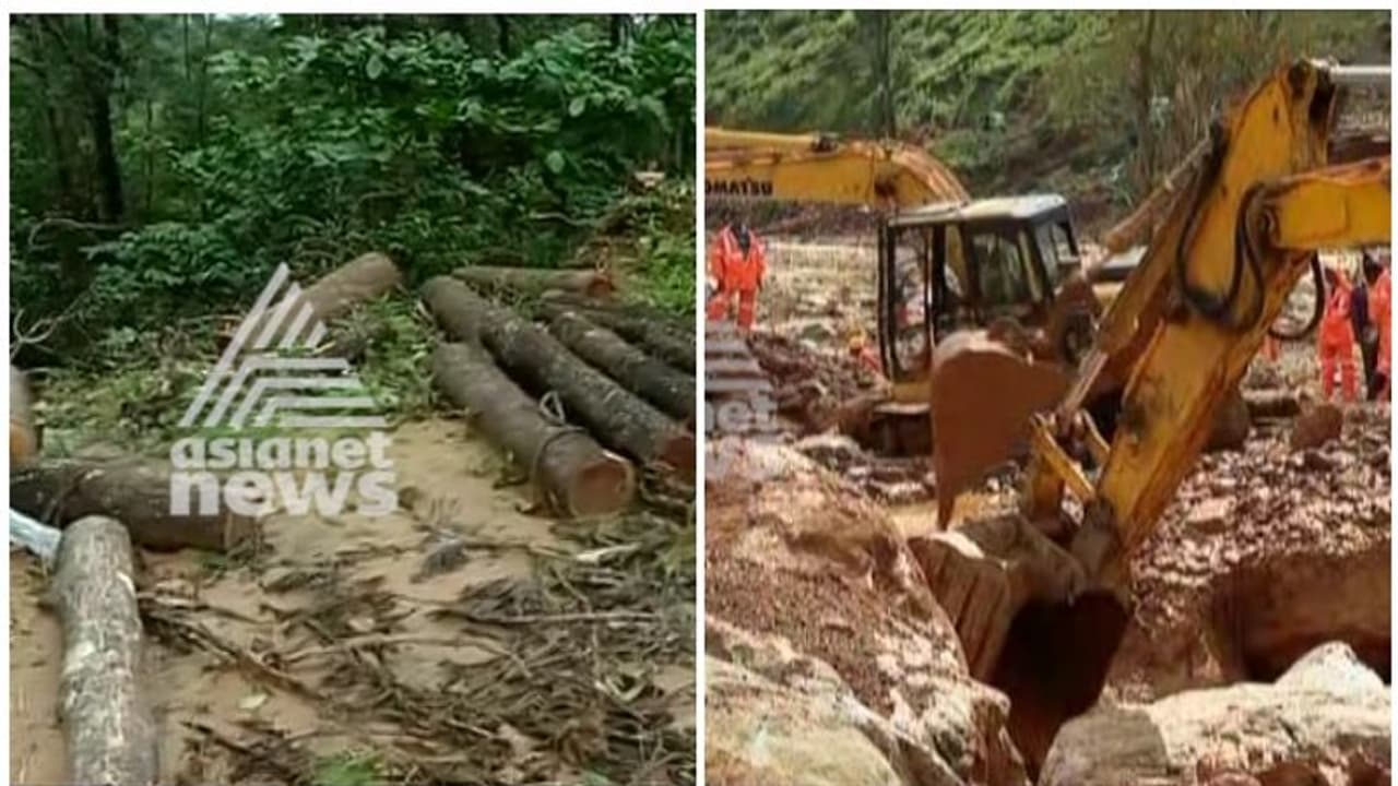 ദുരന്തം പാഠമായില്ല വയനാട്ടിൽ മരം മുറിയും ഭൂമി തരംമാറ്റലും വ്യാപകം ദുരന്തം പാഠമായില്ല വയനാട്ടിൽ മരം മുറിയും ഭൂമി തരംമാറ്റലും വ്യാപകം