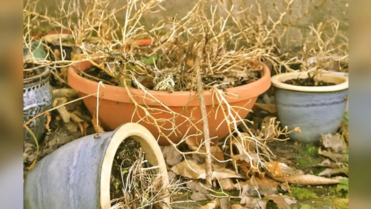 इन 10 कारणों से घर में बढ़ती है नेगेटिविटी इन 10 कारणों से घर में बढ़ती है नेगेटिविटी