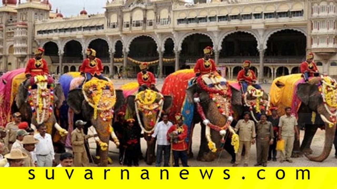 ಮೈಸೂರು ದಸರಾ : ಎರಡನೇ ಗಜಪಡೆ ಕಾಡಿನಿಂದ ನಾಡಿಗೆ ಮೈಸೂರು ದಸರಾ : ಎರಡನೇ ಗಜಪಡೆ ಕಾಡಿನಿಂದ ನಾಡಿಗೆ