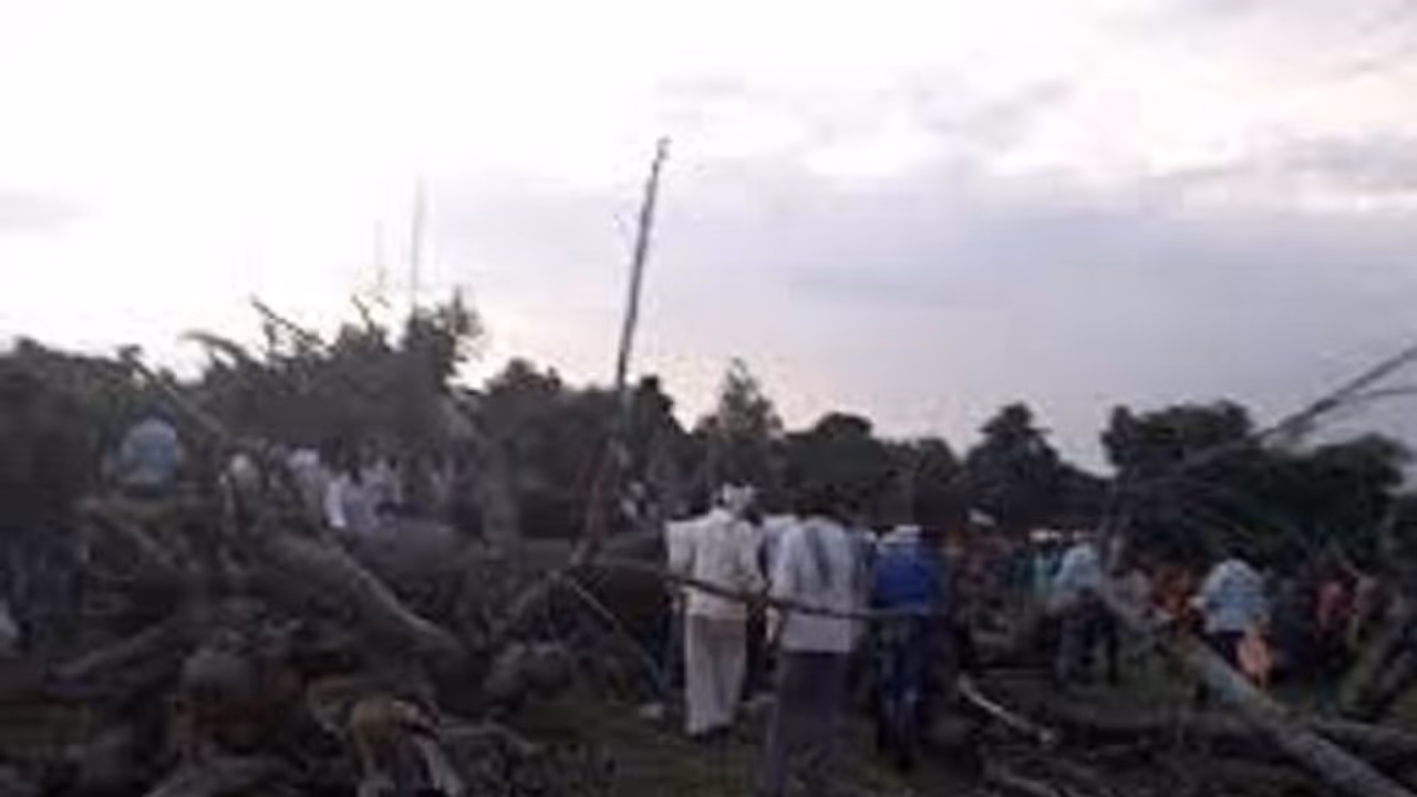 मध्य प्रदेश में पीपल का पेड़ गिरने से 5 लोगों की मौके पर मौत, 15 घायल मध्य प्रदेश में पीपल का पेड़ गिरने से 5 लोगों की मौके पर मौत, 15 घायल