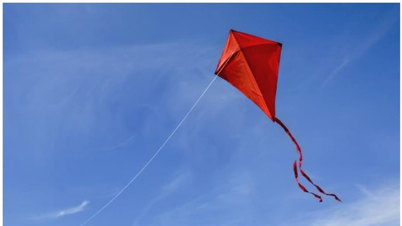 Raksha Bandhan turns tragic: Delhi engineer dies after kite string slits his throat Raksha Bandhan turns tragic: Delhi engineer dies after kite string slits his throat