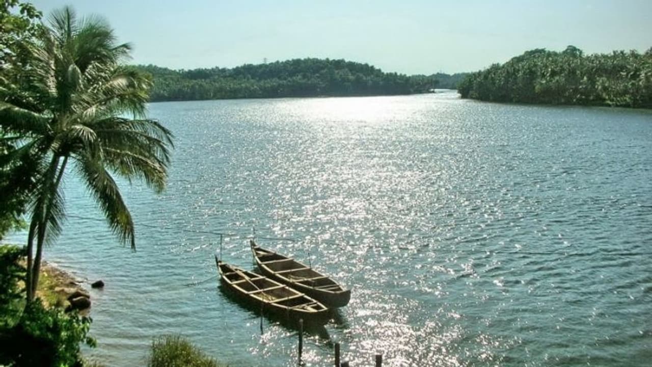 ചന്ദ്രഗിരി പുഴയിലേക്ക് ചാടിയ യുവാവിനായി തെരച്ചിൽ തുടരുന്നു ചന്ദ്രഗിരി പുഴയിലേക്ക് ചാടിയ യുവാവിനായി തെരച്ചിൽ തുടരുന്നു