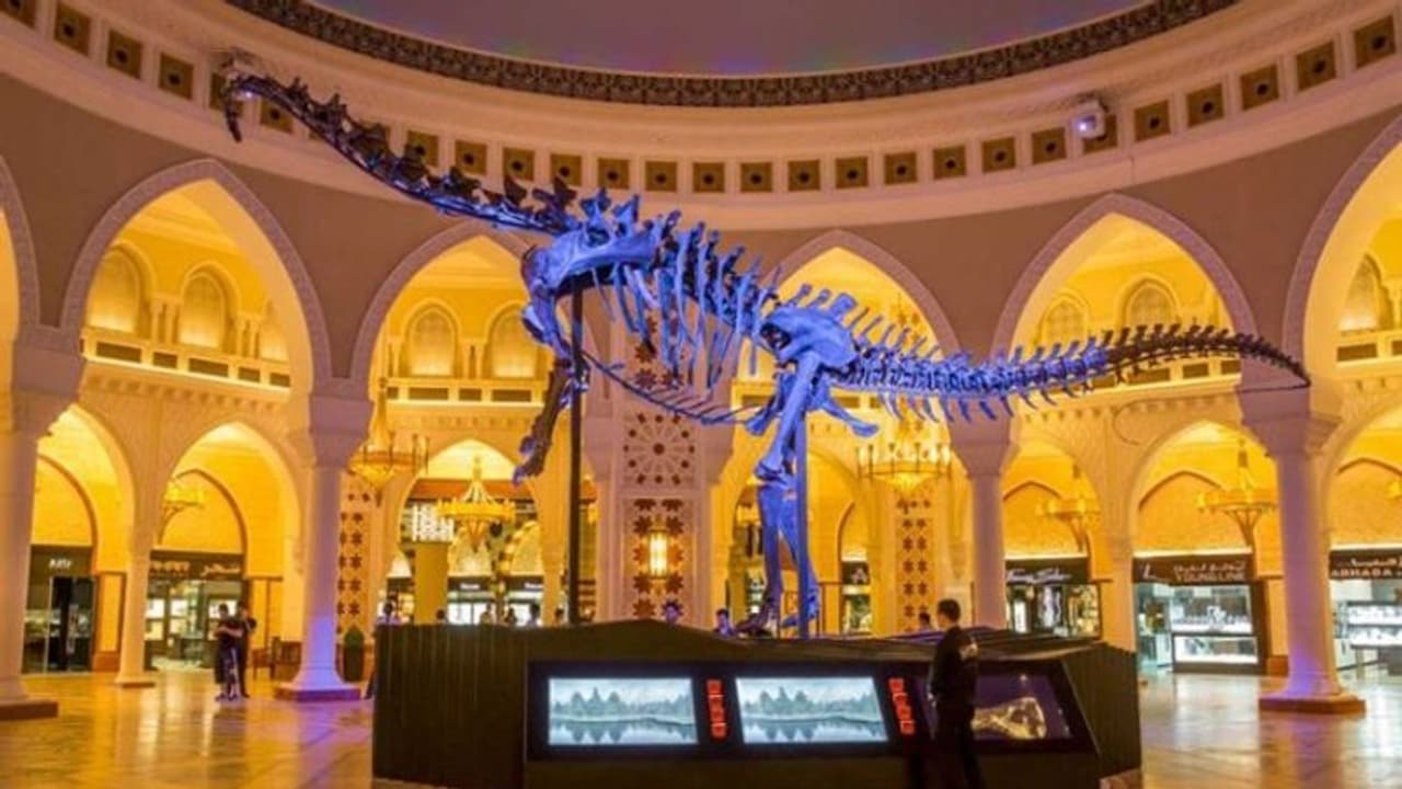 ദുബായിൽ ദിനോസറിന്റെ അസ്ഥികൂടത്തിന്റെ ലേലം തുടങ്ങി; അടിസ്ഥാന വില 27 കോടി രൂപ ദുബായിൽ ദിനോസറിന്റെ അസ്ഥികൂടത്തിന്റെ ലേലം തുടങ്ങി; അടിസ്ഥാന വില 27 കോടി രൂപ