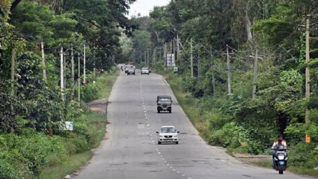 ಮಡಿಕೇರಿ: ಜಿಲ್ಲೆಯಾದ್ಯಂತ ಮಳೆ ಇಳಿಕೆ