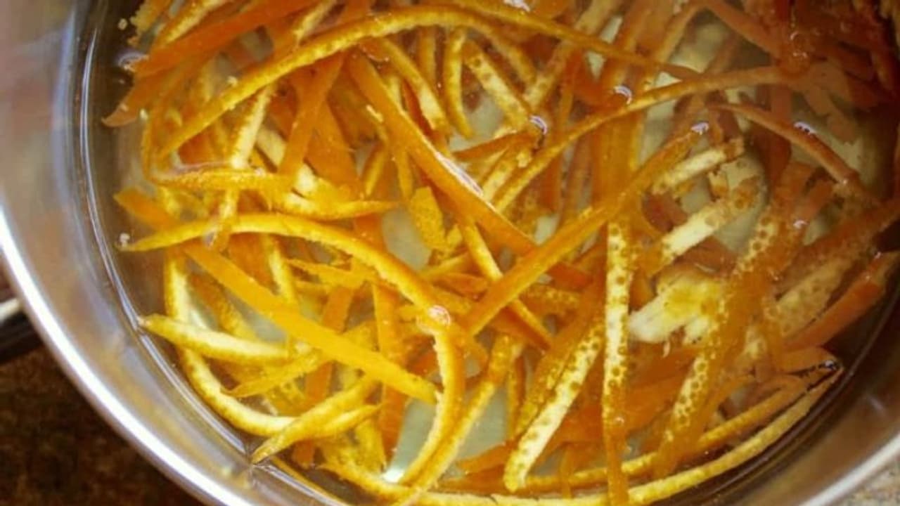 ഇവ വലിച്ചെറിയും മുന്പ് ഇതൊന്ന് അറിഞ്ഞിരിക്കുക... ഇവ വലിച്ചെറിയും മുന്പ് ഇതൊന്ന് അറിഞ്ഞിരിക്കുക...