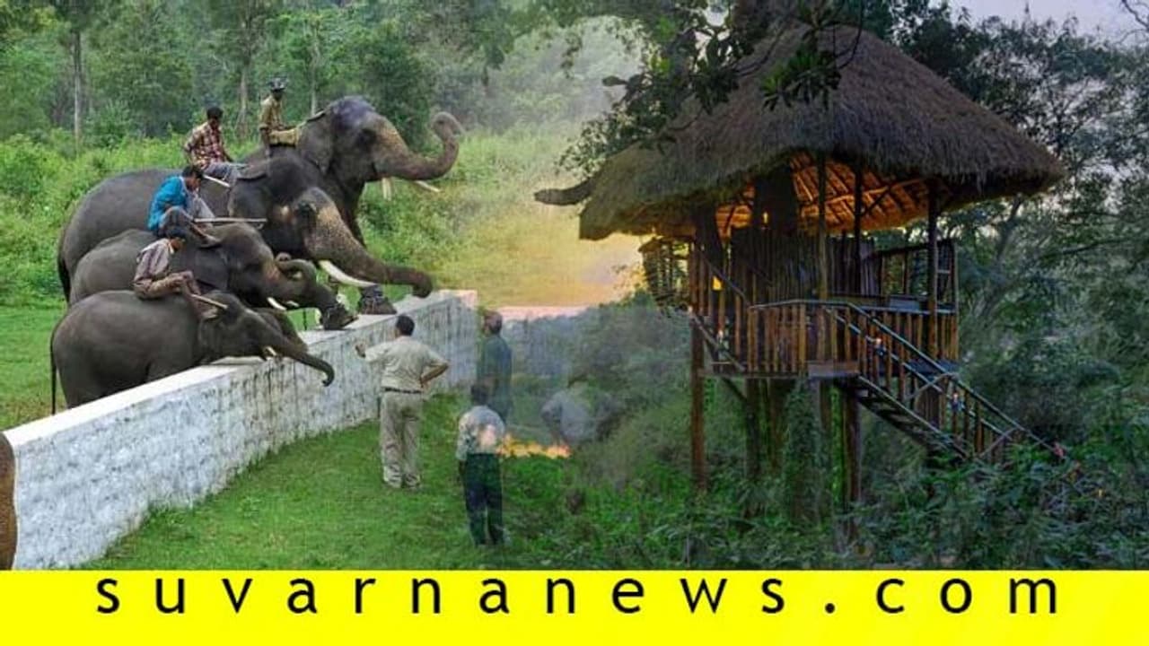 ಇವುಗಳನ್ನು ಮಾಡದೇ ಹೋದ್ರೆ ಕೂರ್ಗ್ ಟ್ರಿಪ್ ಕಂಪ್ಲೀಟೇ ಆಗಲ್ಲ! ಇವುಗಳನ್ನು ಮಾಡದೇ ಹೋದ್ರೆ ಕೂರ್ಗ್ ಟ್ರಿಪ್ ಕಂಪ್ಲೀಟೇ ಆಗಲ್ಲ!