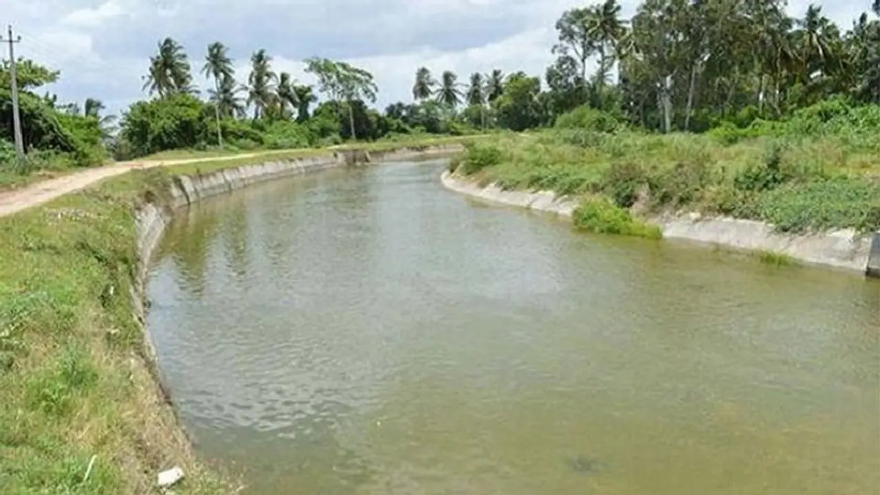 ಮೈಸೂರು: ಹಾರಂಗಿ ನಾಲೆ ಮೂಲಕ ಕೆರೆಕಟ್ಟೆಗಳಿಗೆ ನೀರು ಮೈಸೂರು: ಹಾರಂಗಿ ನಾಲೆ ಮೂಲಕ ಕೆರೆಕಟ್ಟೆಗಳಿಗೆ ನೀರು