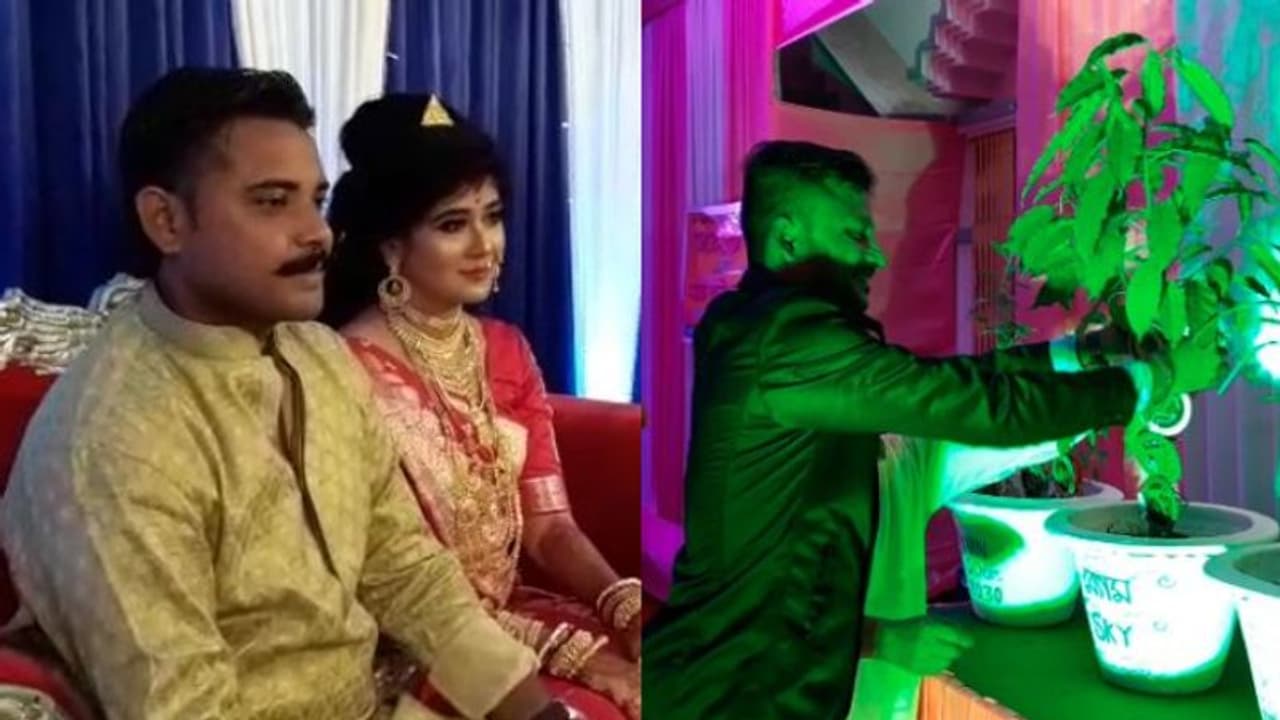 উপহার নয়, গাছে রাখি পরিয়ে আশীর্বাদ নিলেন রায়গঞ্জের নবদম্পতি উপহার নয়, গাছে রাখি পরিয়ে আশীর্বাদ নিলেন রায়গঞ্জের নবদম্পতি