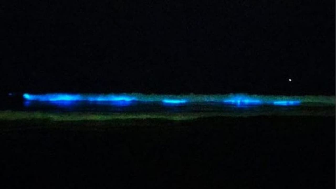 ಬೀಚ್’ನಲ್ಲಿ ವಿಚಿತ್ರ ನೀಲಿ ಬಣ್ಣ: ನೋಡಿದವರೆಲ್ಲಾ ಕೇಳಿದರು ಇದೇನಣ್ಣ?