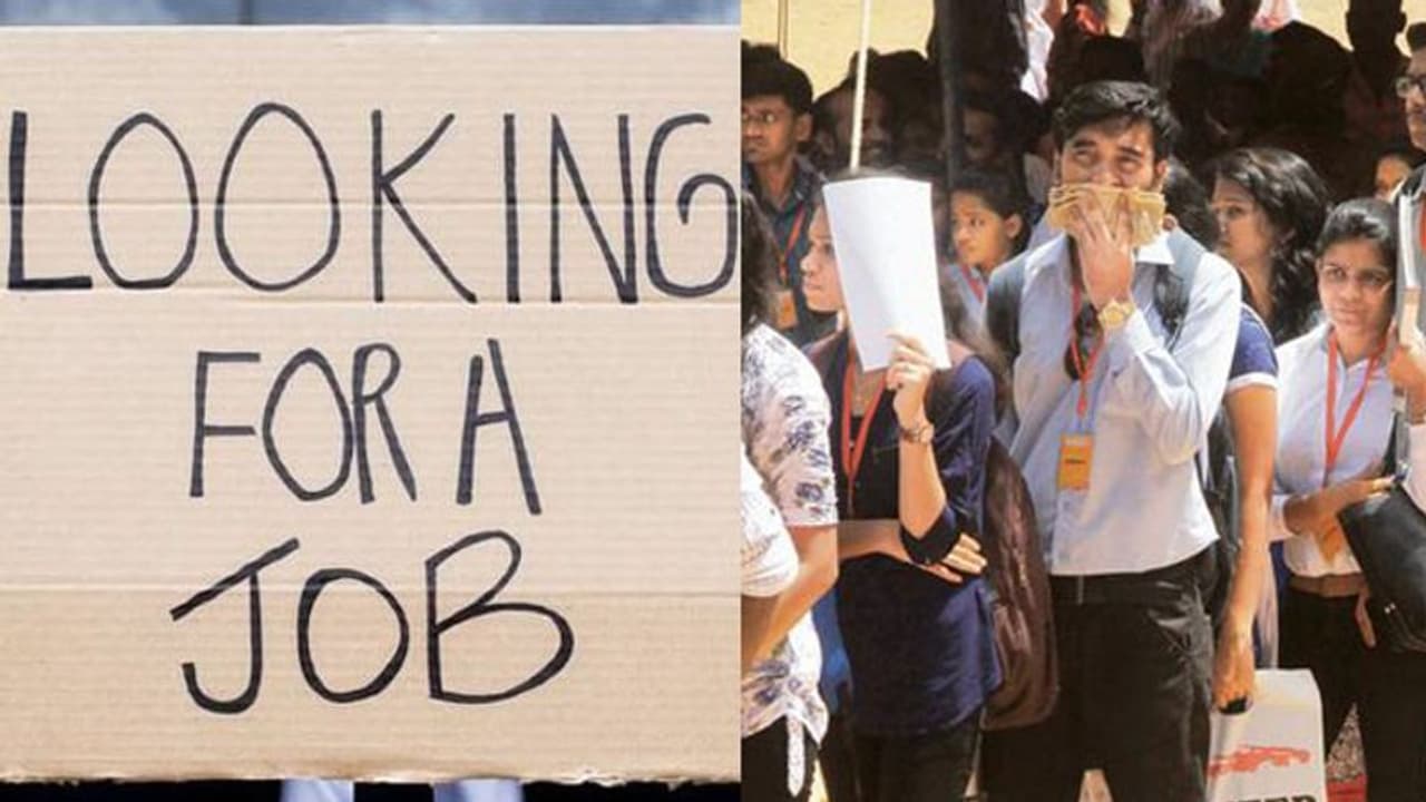 തൊഴില് നല്കാന് താല്പര്യക്കുറവ് കാട്ടി ബാങ്ക്, ഓട്ടോ, ഇന്ഷുറന്സ് മേഖലകള്: പ്രതിസന്ധിയുടെ ദിനങ്ങളെ സംബന്ധിച്ച റിപ്പോര്ട്ട് പുറത്ത് തൊഴില് നല്കാന് താല്പര്യക്കുറവ് കാട്ടി ബാങ്ക്, ഓട്ടോ, ഇന്ഷുറന്സ് മേഖലകള്: പ്രതിസന്ധിയുടെ ദിനങ്ങളെ സംബന്ധിച്ച റിപ്പോര്ട്ട് പുറത്ത്