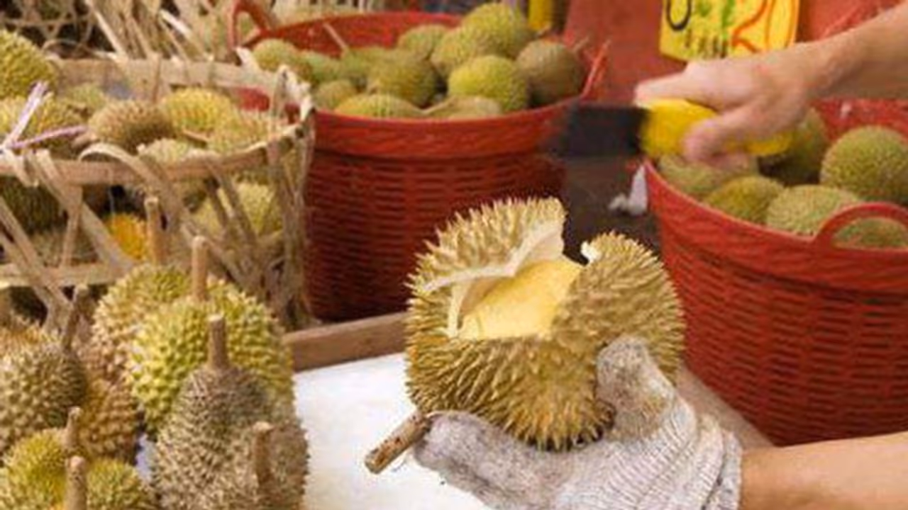 बदबूदार मोजे की महक वाला फल, फायदे अनेक बदबूदार मोजे की महक वाला फल, फायदे अनेक