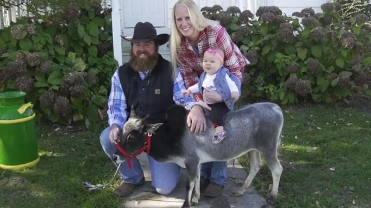 यह है दुनिया का सबसे छोटा बैल, गिनीज बुक में नाम हुआ दर्ज यह है दुनिया का सबसे छोटा बैल, गिनीज बुक में नाम हुआ दर्ज