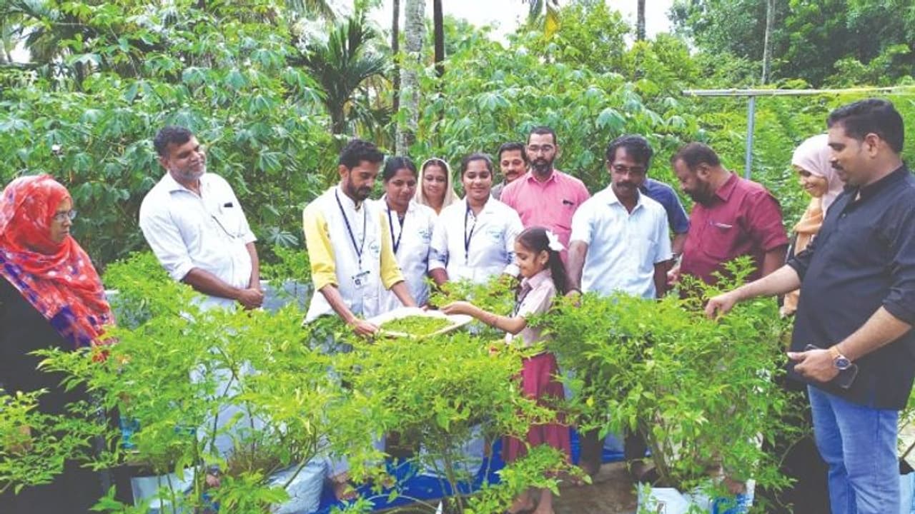 തമന്ന നട്ടുവളര്ത്തിയ കാന്താരിക്ക് 'എരിവല്ല, മധുരം'; മുളക് വിറ്റ പണം ദുരിതാശ്വാസ നിധിയിലേക്ക് തമന്ന നട്ടുവളര്ത്തിയ കാന്താരിക്ക് 'എരിവല്ല, മധുരം'; മുളക് വിറ്റ പണം ദുരിതാശ്വാസ നിധിയിലേക്ക്