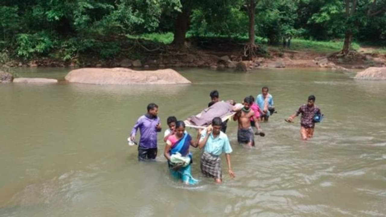 রাস্তা নেই, জলপথে ১২ কিলোমিটার রাস্তা পায়ে হেঁটে নিয়ে যাওয়া হল প্রসূতিকে রাস্তা নেই, জলপথে ১২ কিলোমিটার রাস্তা পায়ে হেঁটে নিয়ে যাওয়া হল প্রসূতিকে