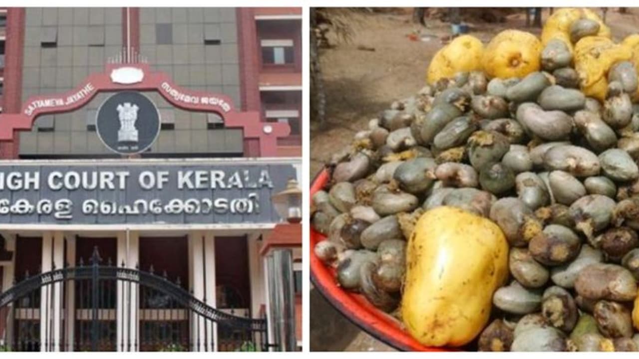 കശുവണ്ടി വികസന കോർപ്പറേഷൻ അഴിമതി; വിജിലൻസ് കോടതിയുത്തരവ് ചോദ്യം ചെയ്ത് സമർപ്പിച്ച പുനപരിശോധന ഹർജി തീർപ്പാക്കി കശുവണ്ടി വികസന കോർപ്പറേഷൻ അഴിമതി; വിജിലൻസ് കോടതിയുത്തരവ് ചോദ്യം ചെയ്ത് സമർപ്പിച്ച പുനപരിശോധന ഹർജി തീർപ്പാക്കി