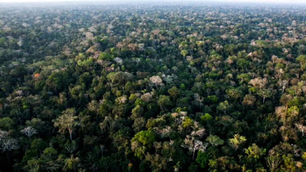 గ్వాటెమాల అడవి అడుగున 2000 ఏళ్ల పురాతన మయా నగరం.. పరిశోధకుల అధ్యయనంలో వెలికి